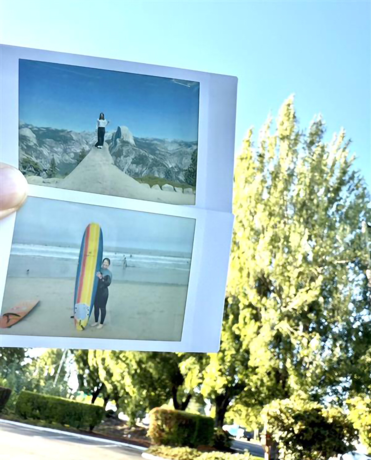 オープンウィーク