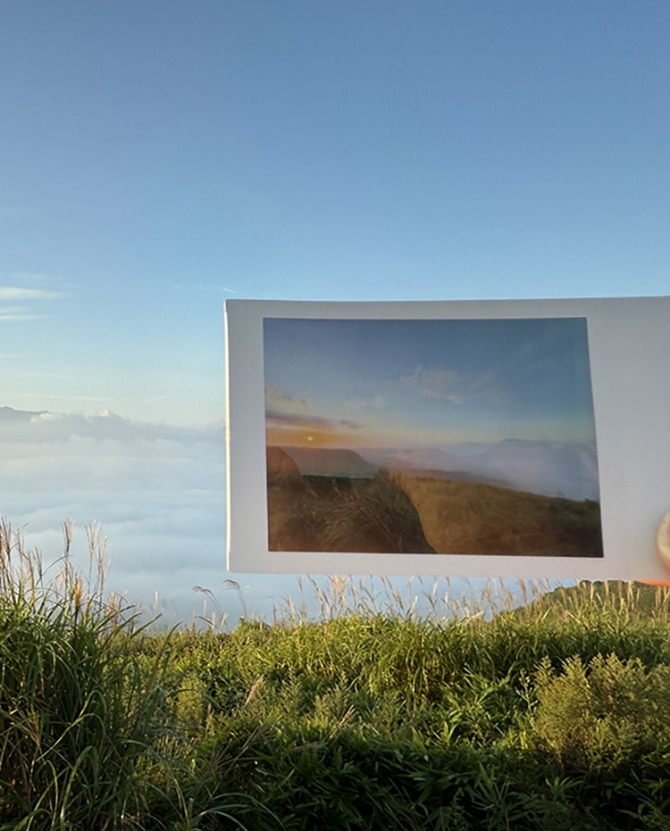 オープンウィーク